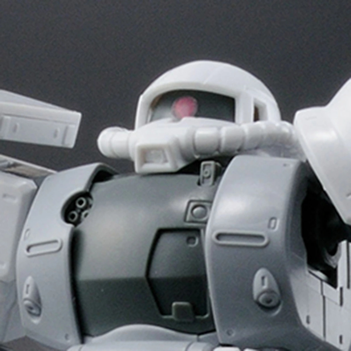 HG 1/144 Zaku II Type C-6/R6 [Painting Model] (The Gundam Base Limited)