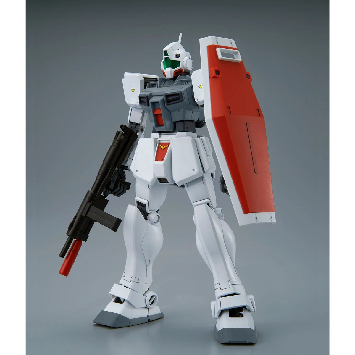 MG 1/100 GM Cold Districts Type